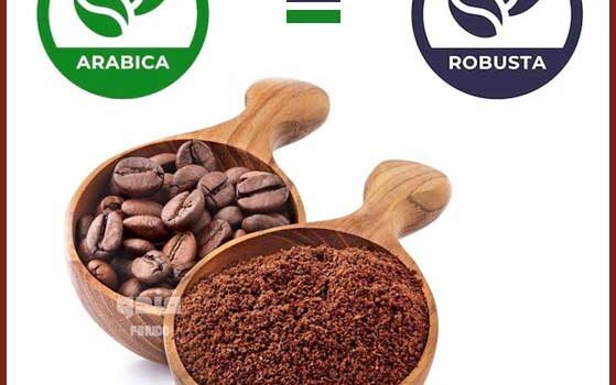 میکس قهوه متعادل فندو