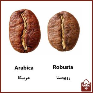 تفاوت قهوه عربیکا و روبوستا